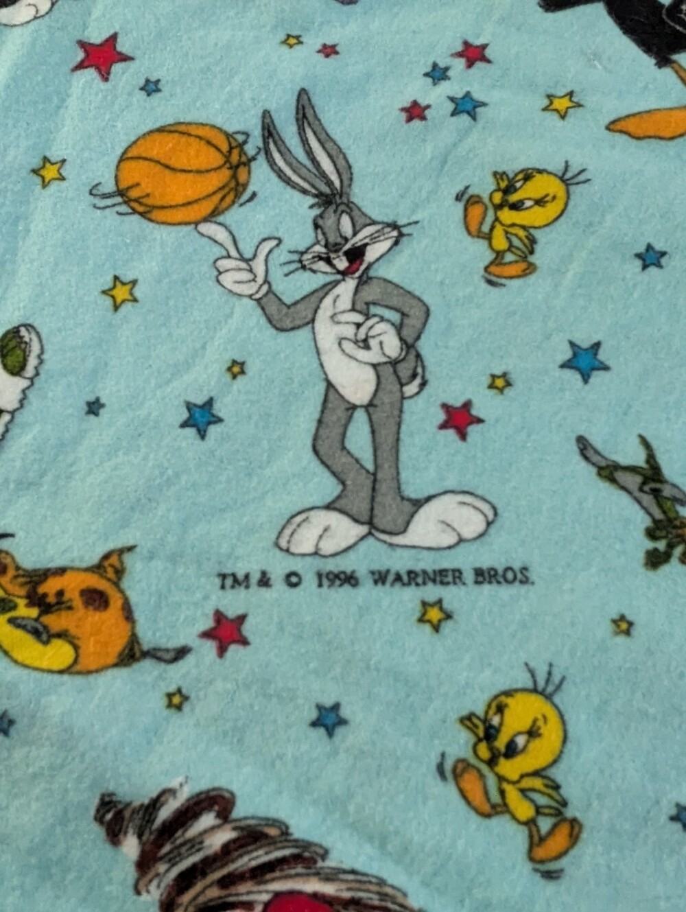 Vintage 1996 Warner Bros. Space Jam Flannel Fabric Featuring Looney Tunes